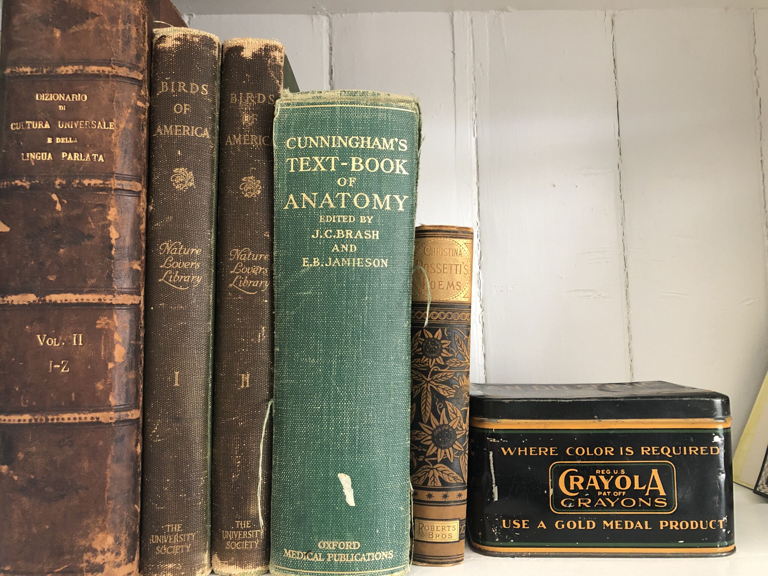 Antique books I can’t bring myself to cut-up/