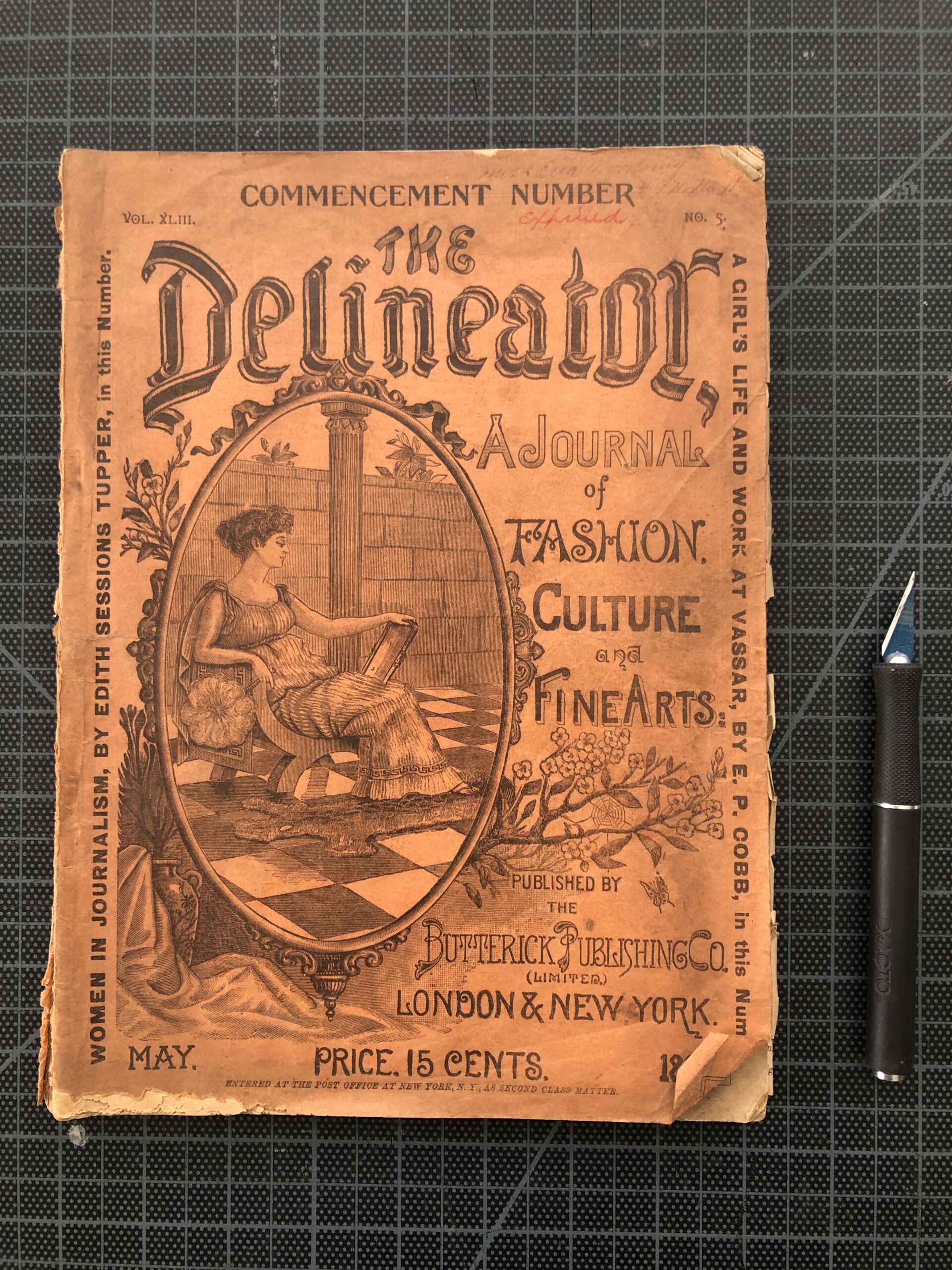 The Delineator